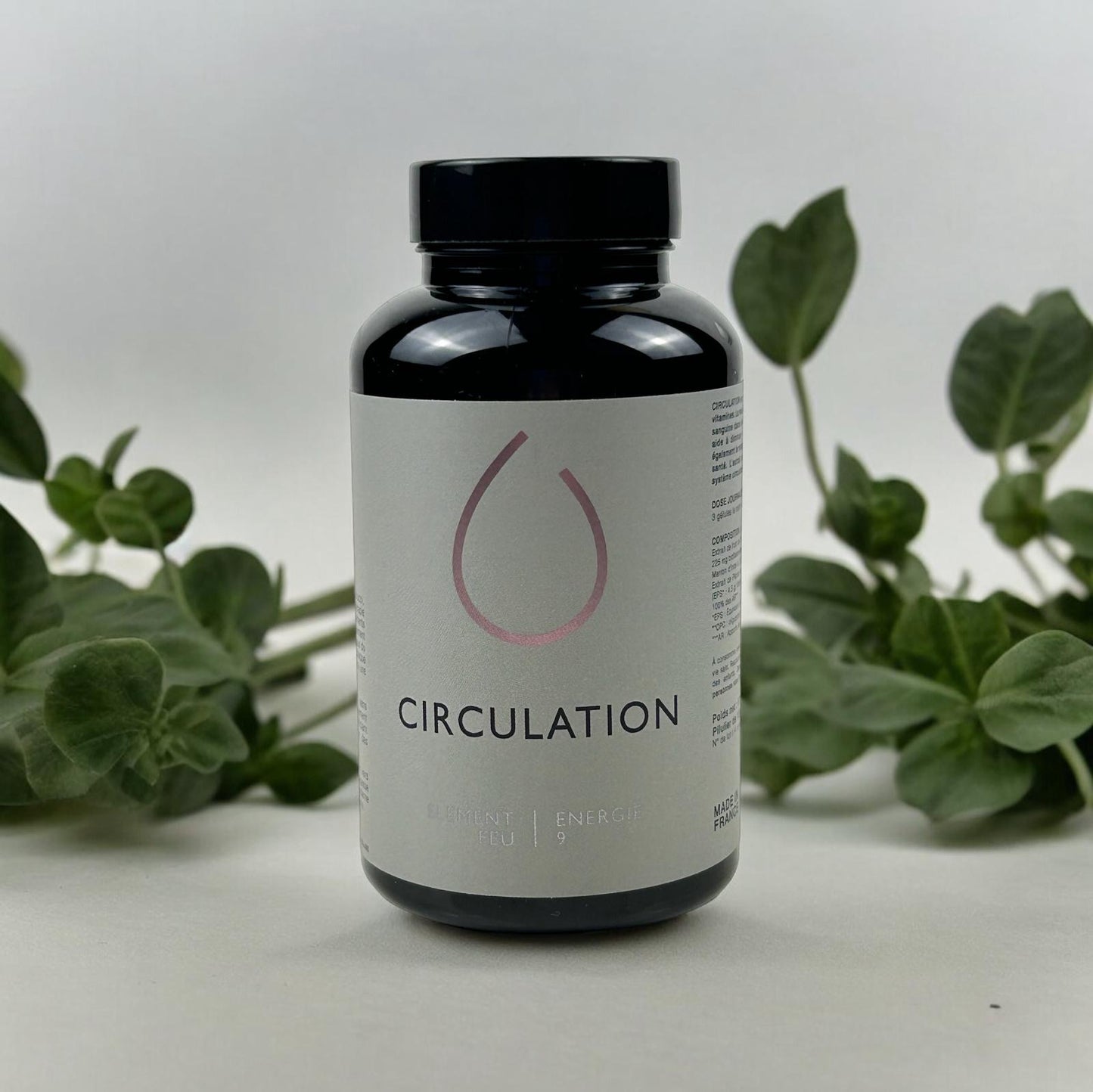 Circulation